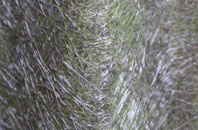 Wern Tarw fibreglass roof work
